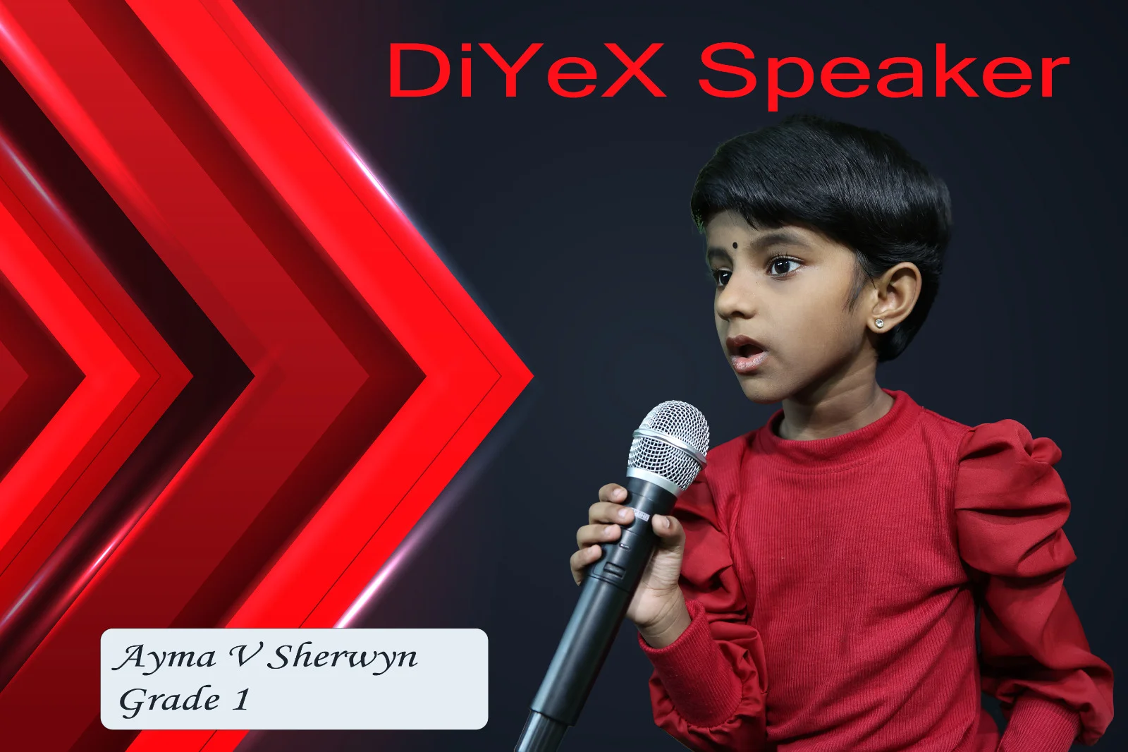 Diyex Speaker 2 -DiYES