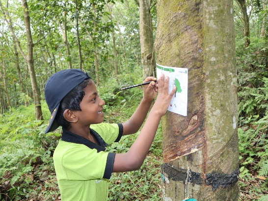 role of students in environmental protection-Diyes 2